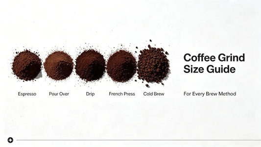 Coffee Grind Size Guide for Every Brew Method