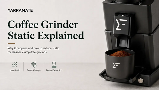 Coffee Grinder Static: Why Grounds Stick Everywhere