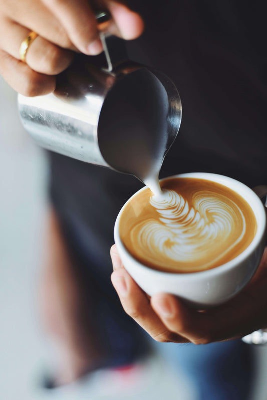 3 speed milk frother