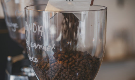 Coffee beans being added to a grinder before a single-dose grinding workflow