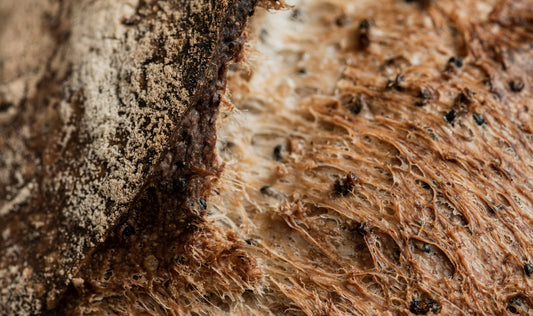 Close-up of a crusty sourdough loaf showing the texture that can soften in storage