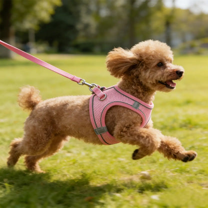 Step-in Mesh Puppy Harness, Soft Padded Reflective Vest for Small Dogs