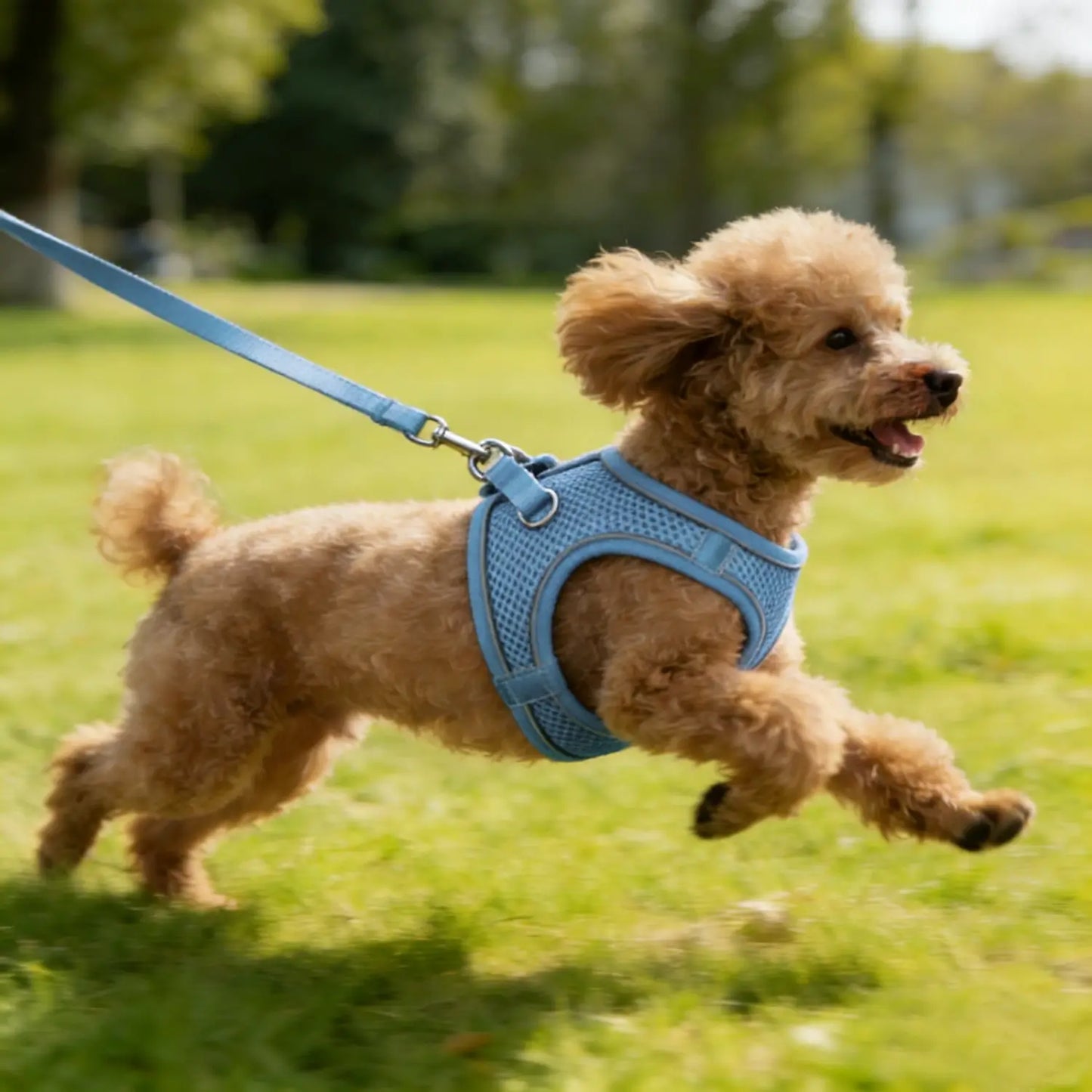 Step-in Mesh Puppy Harness, Soft Padded Reflective Vest for Small Dogs