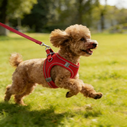 Step-in Mesh Puppy Harness, Soft Padded Reflective Vest for Small Dogs