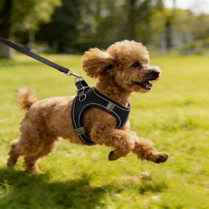 Step-in Mesh Puppy Harness, Soft Padded Reflective Vest for Small Dogs