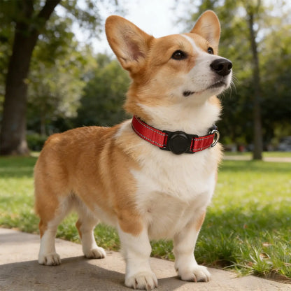 Reflective AirTag Dog Collar with Waterproof Holder