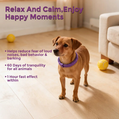 3-Pack Dog Calming Collars for Anxiety & Stress Relief