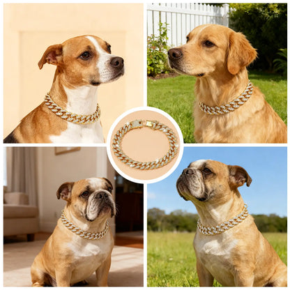 Gold 10 in Crystal Cuban Link Dog Collar Diamond Metal Pet Necklace with Safe Buckle