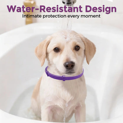 3-Pack Dog Calming Collars for Anxiety & Stress Relief