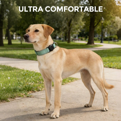 Reflective AirTag Dog Collar with Waterproof Holder