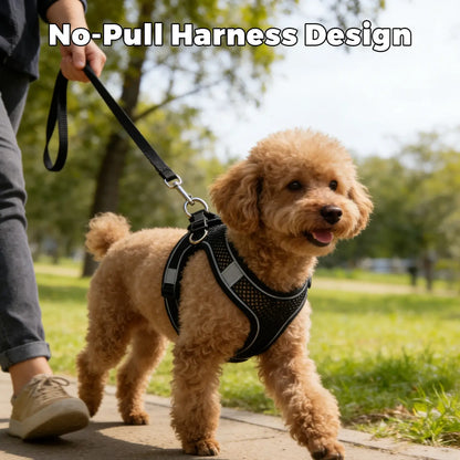 Adjustable Double Mesh Dog Harness, Soft No Pull No Choke Vest Small Medium Dogs