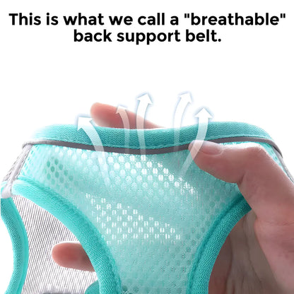 Step-in Mesh Puppy Harness, Soft Padded Reflective Vest for Small Dogs