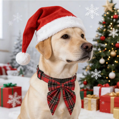Christmas Dog Collar with Detachable Bow Red