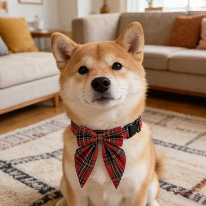 Christmas Dog Collar with Detachable Bow Red