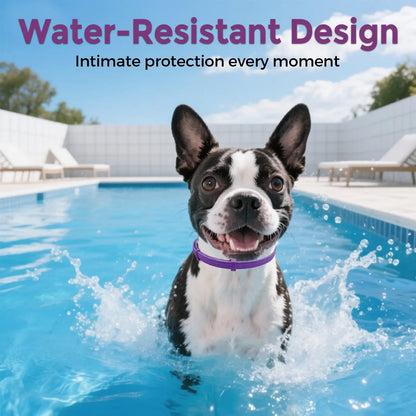 3-Pack Dog Calming Collars for Anxiety & Stress Relief