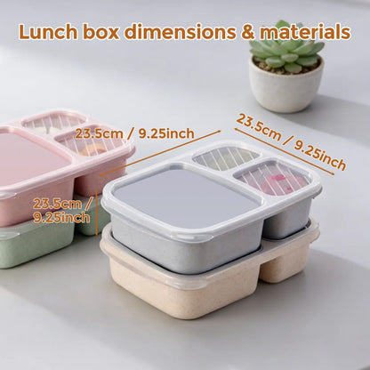 Rice Husk & Wheat Straw 3-Compartment Bento Lunch Box