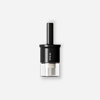 Glass Oil Dispenser Bottle with Silicone Food Grade Brush 10oz/300ml (Black)